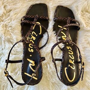 Circus by Sam Edelman Snakeskin Brown Sandals